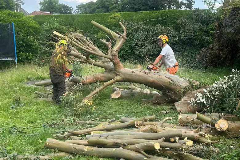 J and Son Trees and Landscapes